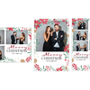 Holiday Foliage Pack